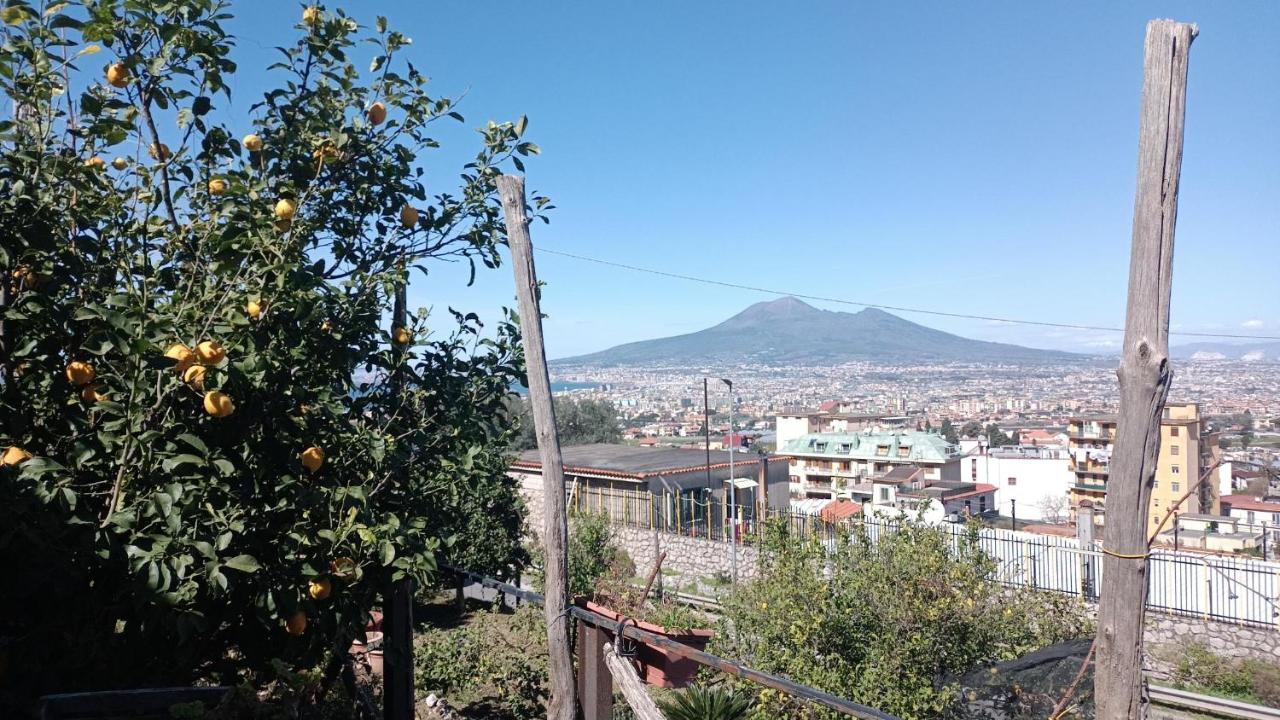جرانانو B&B Il Limoneto المظهر الخارجي الصورة