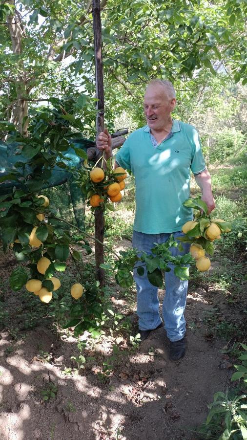 جرانانو B&B Il Limoneto المظهر الخارجي الصورة
